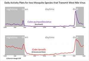 Daily activity plots for two mosquito species that transmit West Nile virus